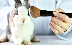 determining if products are cruelty-free